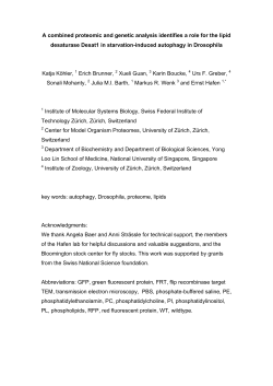 A combined proteomic and genetic analysis identifies a role for the