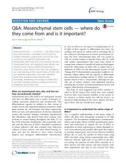 Mesenchymal stem cells