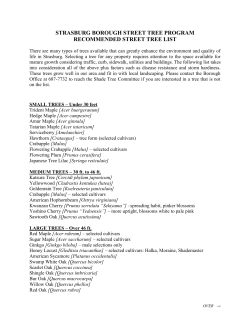 Available Trees - Strasburg Borough