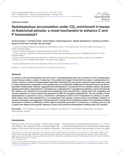 Sedoheptulose accumulation under CO2 enrichment in leaves of