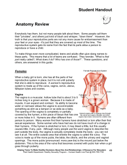 Anatomy Review - Region of Peel
