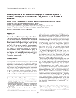 Photodynamics of the Bacteriochlorophyll&ndash;Carotenoid System. 1