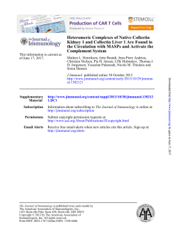 Complement System the Circulation with MASPs and Activate the
