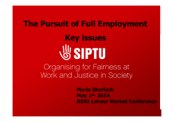 The Pursuit of Full Employment Key issues