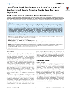 Lamniform Shark Teeth from the Late Cretaceous of Southernmost