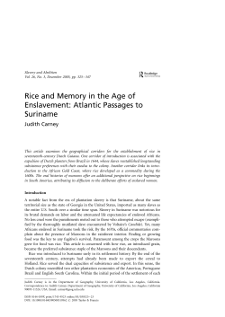 Rice and Memory in the Age of Enslavement
