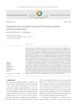 Colonization of a new habitat: The case of the Dead Sea sinkholes