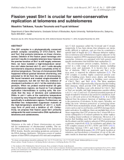 Fission yeast Stn1 is crucial for semi