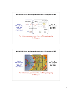MCB 110:Biochemistry of the Central Dogma of MB MCB 110