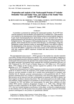 Preparation and Analysis of the Nucleocapsid Proteins of Vesicular