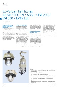 Ex-Pendant light fittings AB 50 / SPG 1N / AB 51 / EVI 200 / EVI 500