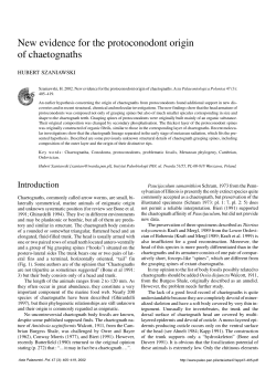 New evidence for the protoconodont origin of chaetognaths
