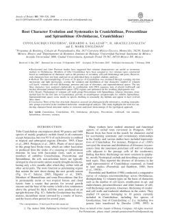 Root Character Evolution and Systematics in Cranichidinae