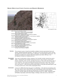 ROCKY MOUNTAIN CLIFF, CANYON AND MASSIVE BEDROCK