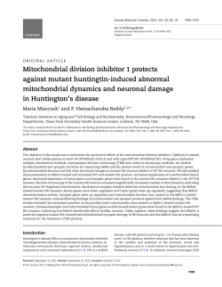 Mitochondrial division inhibitor 1 protects against mutant huntingtin