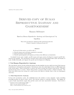 Derived copy of Human Reproductive Anatomy