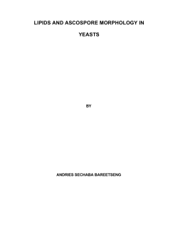 lipids and ascospore morphology in yeasts