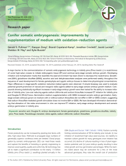 Conifer somatic embryogenesis: improvements