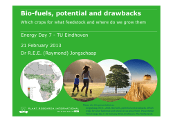 20130221 TU Eindhoven - EnergyDay 7 - Bio