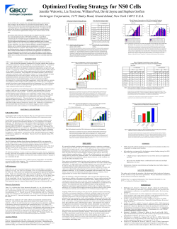Optimized Feeding Strategy for NS0 Cells