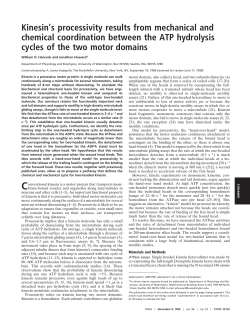 Kinesin`s processivity results from mechanical and chemical