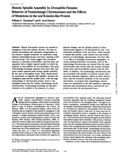 Meiotic Spindle Assembly In Drosophila Females