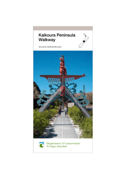 Kaikoura Peninsula Walkway brochure