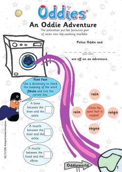 An Oddie Adventure