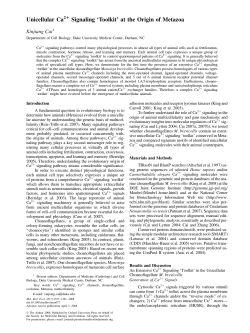 Unicellular Ca Signaling `Toolkit` at the Origin of