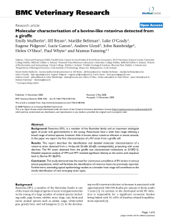Molecular characterisation of a bovine