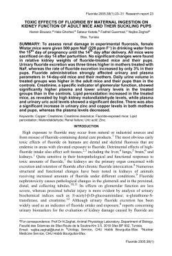 TOXIC EFFECTS OF FLUORIDE BY MATERNAL INGESTION ON