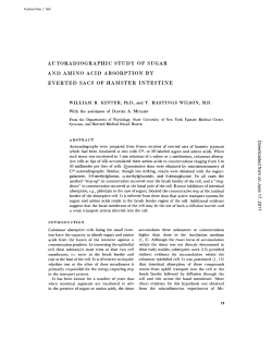 AUTORADIOGRAPHIC STUDY OF SUGAR AND AMINO ACID