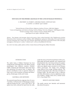 New data on the spiders (araneae) in the caves of Balkan peninsula