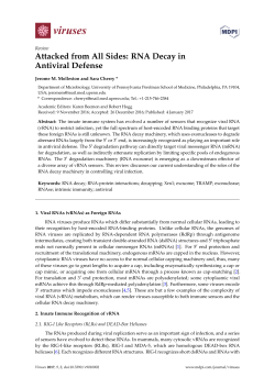 Attacked from All Sides: RNA Decay in Antiviral Defense
