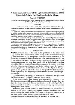 A Histochemical Study of the Cytoplasmic Inclusions of the Epithelial