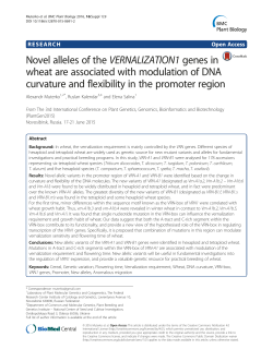 Novel alleles of the VERNALIZATION1 genes in wheat are