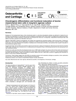 Chondrogenic differentiation and functional maturation of bovine