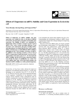 Effects of Chaperones on mRNA Stability and Gene Expression in