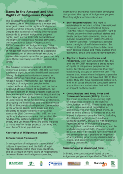 Dams in the Amazon and the Rights of Indigenous