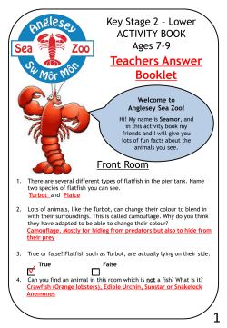 English - Anglesey Sea Zoo