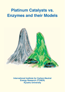 Platinum Catalysts vs. Enzymes and their Models