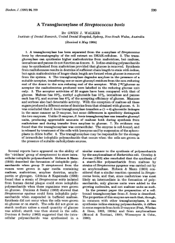 A Transglucosylase of Streptococcus bovis