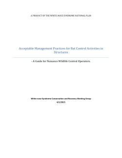 Acceptable Management Practices for Bat Control Activities in