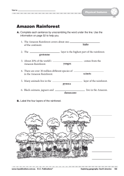Amazon Rainforest - Teacher Superstore