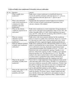 FAQs on Paddy straw mushroom (Volvariella volvacea) cultivation Sl