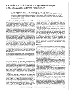Mechanism of inhibition of Na -glucose cotransport in the chronically