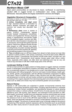 CTn32 Northern Mesic Cliff factsheet - Minnesota DNR - MN-dnr