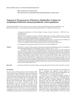 Oogenesis in Phragmatopoma