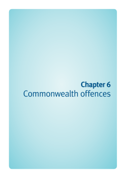 Criminal Law Duty Lawyer Handbook