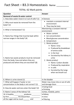 B3.3 Homeostasis